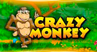 Crazy Monkey