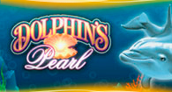 Dolphins Pearl